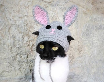 Bunny Hat For Cat and Carrot toy, Easter Bunny, Hats For Cats, Cat Costumes, Pet Costumes, Small Dog Hat,Pet Costume, Cat Accessories