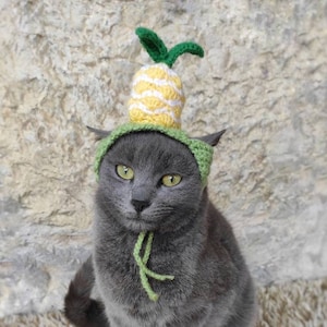 Pineapple Cat Hat, Crochet Pineapple Hat for Cat, Hat for Cat, Costume for Cats, Hats for Cats, Halloween Cat Costume, Cat Accessories