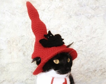 Red Witch Hat for Cat, Pet Costume, Cat Halloween Costume, Pet Halloween Witch Outfit, Gift for Pet Lover, Halloween Costume for Pets