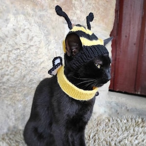 Chapéu de abelha para gato, colar com asas, chapéu para gatos, fantasia para gatos, chapéus para gatos, fantasia de gato de Halloween, acessórios para gatos