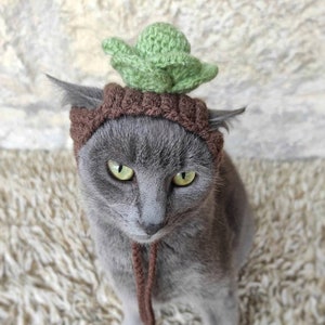 Cabbage Cat Hat, Crochet Cabbage Hat for Cat, Hat for Cat, Costume for Cats, Hats for Cats, Halloween Cat Costume, Cat Accessories