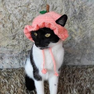 Peach Cat Hat, Crochet Peach Hat for Cat, Peach Hat for Cats, Costume for Cats, Hats for Cats, Halloween Cat Costume, Cat Accessories