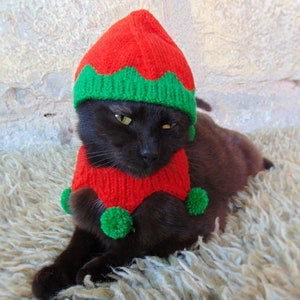 Elf Pet Costume, Christmas Costume for Cat, Elf Hat for Cats, Kitten Accessories, Kitty Outfit, Knitted Christmas Elf Pet Costume image 4