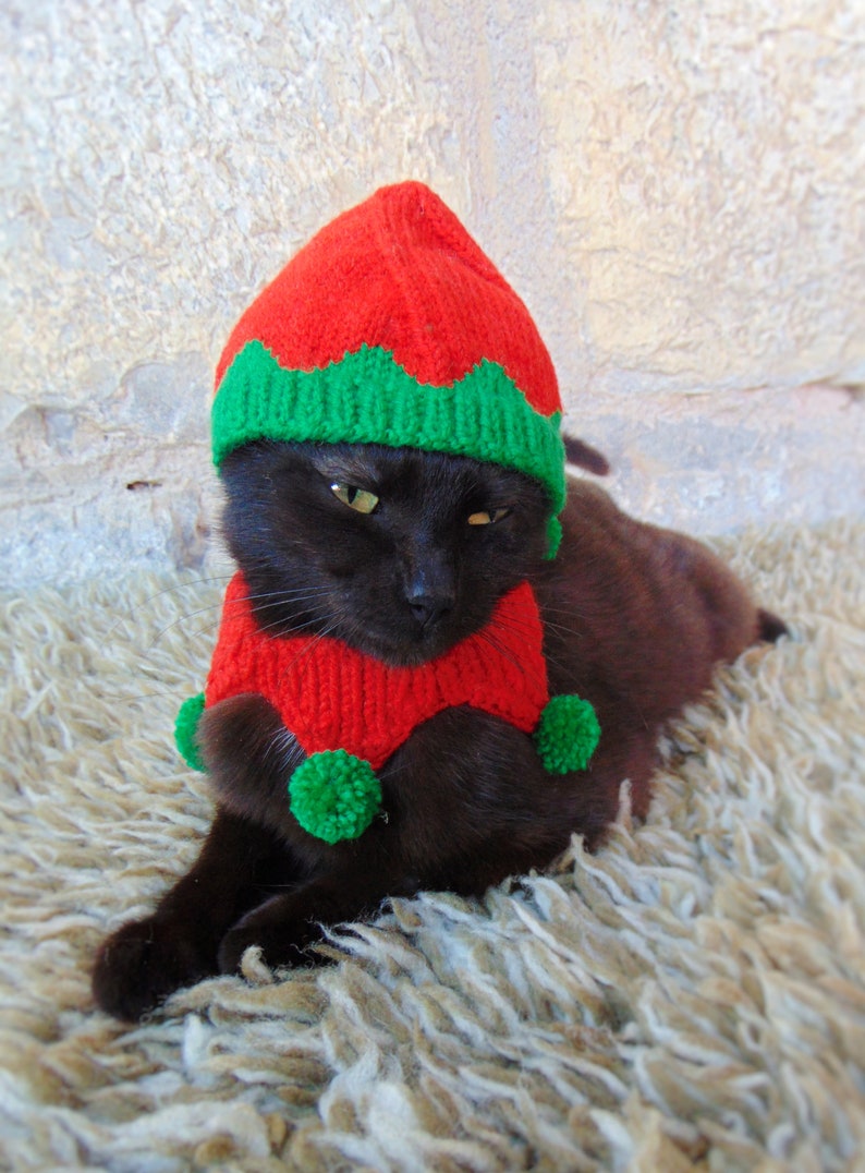 Elf Pet Costume, Christmas Costume for Cat, Elf Hat for Cats, Kitten Accessories, Kitty Outfit, Knitted Christmas Elf Pet Costume image 4