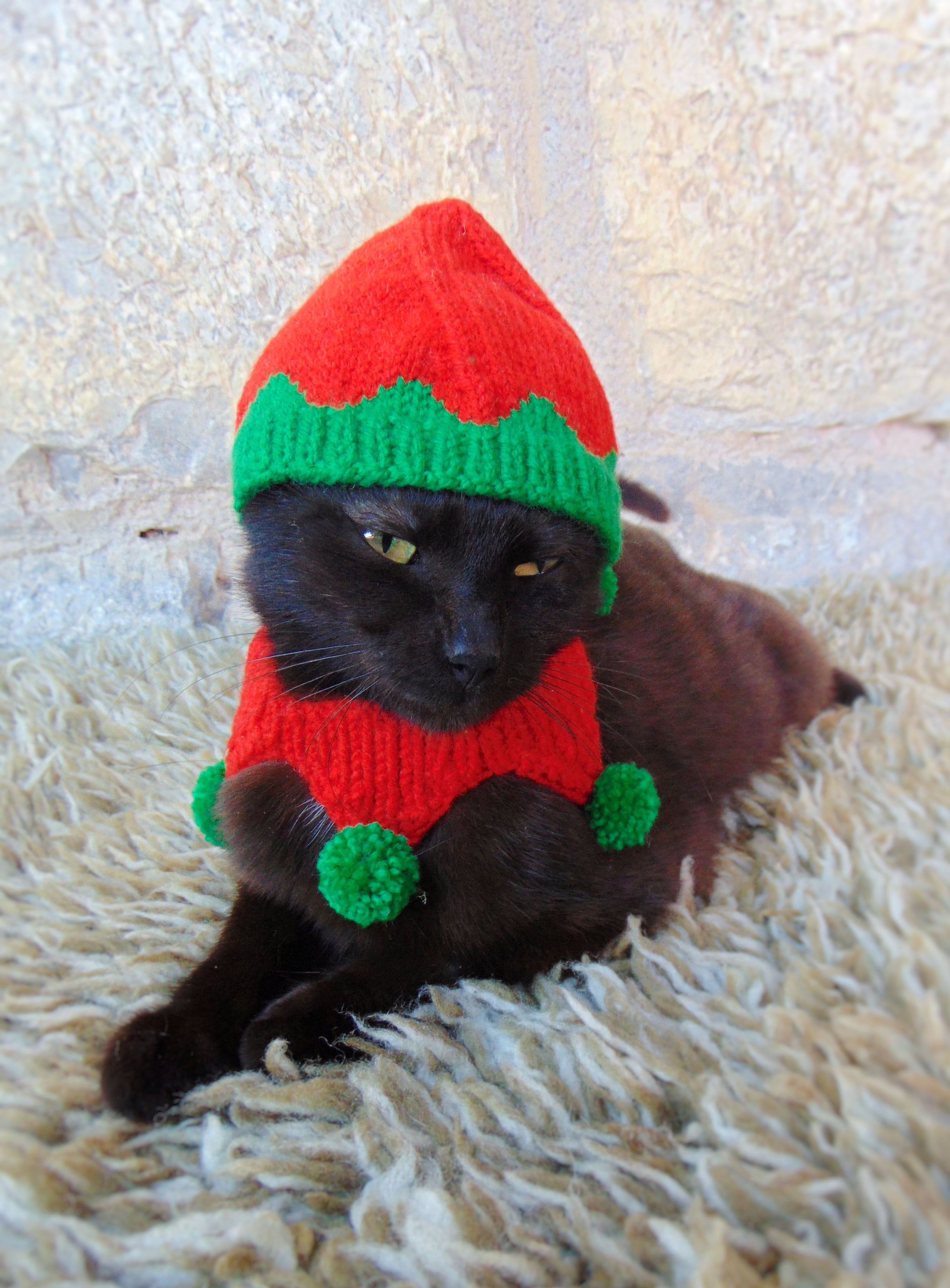 Elf Pet Costume Christmas Costume for Cat Elf Hat for Cats Etsy