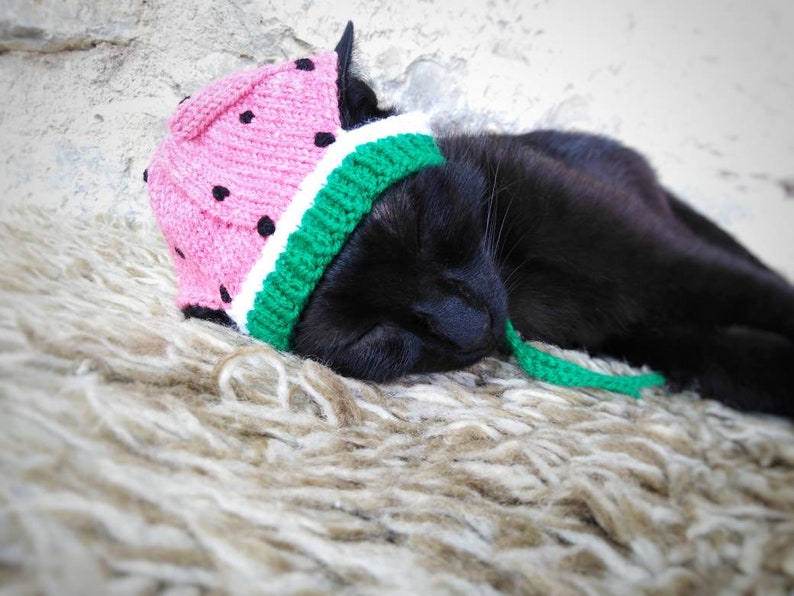 Watermelon Hat for Cat Knitted Watermelon Pet Costume Cat Etsy