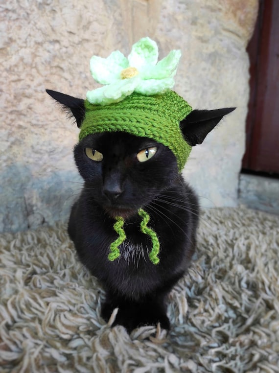 Halloween kostuum voor kat shop