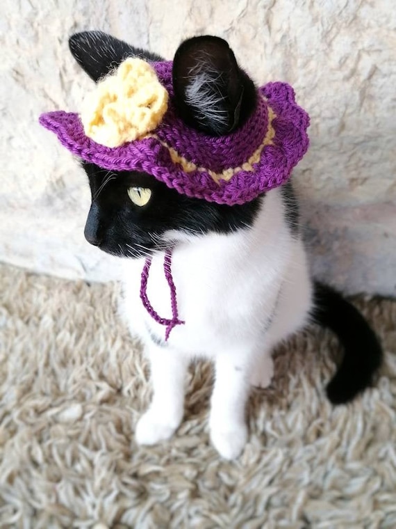 Chapeau Dete Pour Chat Costume Pour Chats Chapeaux Pour Etsy France
