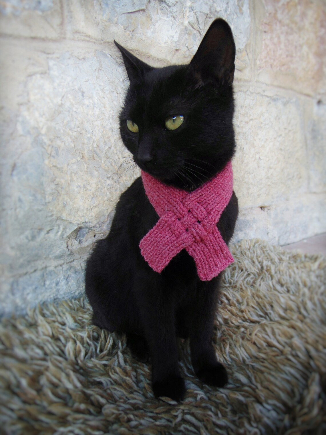 Scarf for Cat Pet Scarf Cat Accessories Kitten Outfit Gift Etsy