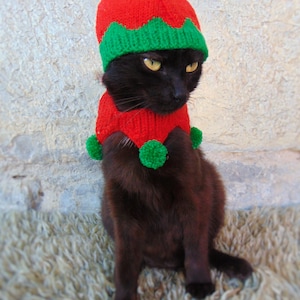 Elf Pet Costume, Christmas Costume for Cat, Elf Hat for Cats, Kitten Accessories, Kitty Outfit, Knitted Christmas Elf Pet Costume image 3