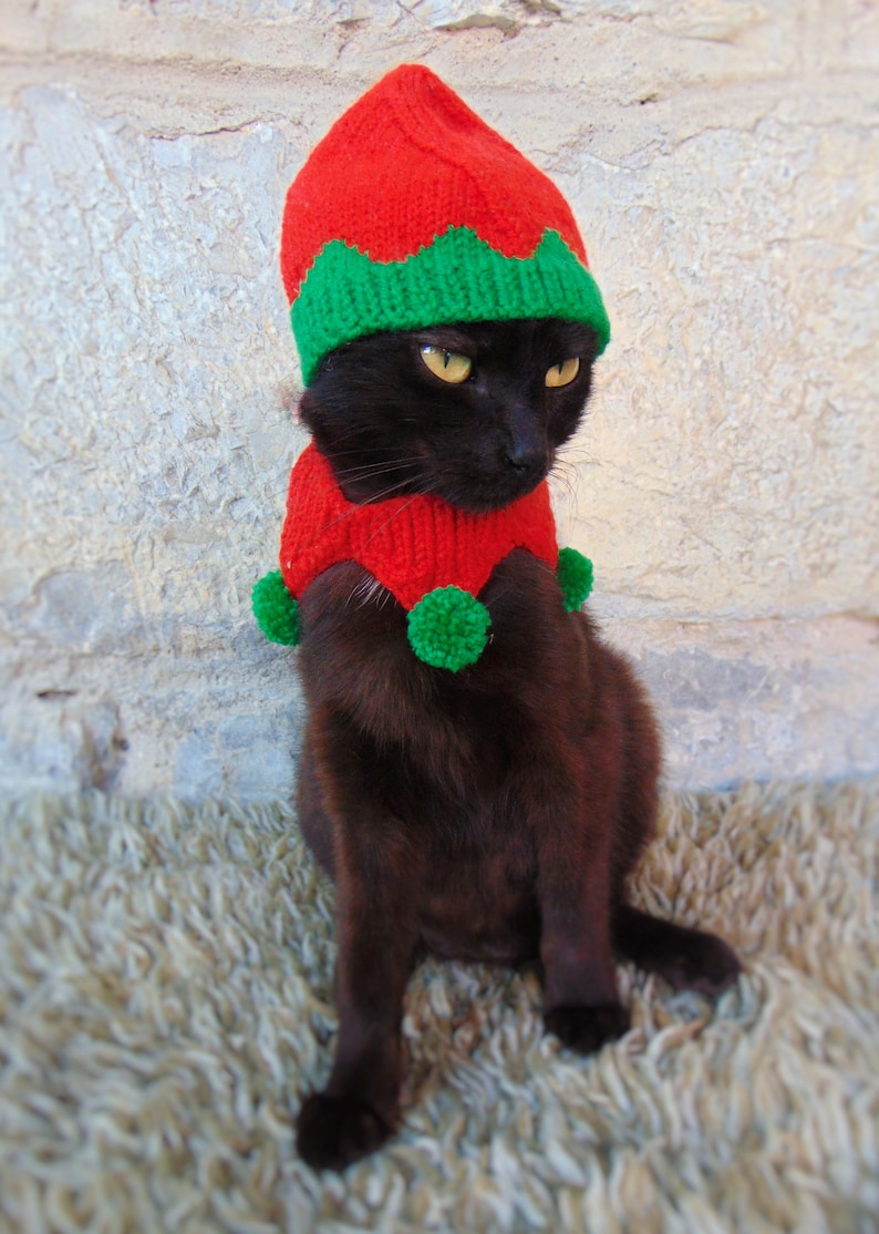 Elf Pet Costume, Christmas Costume for Cat, Elf Hat for Cats, Kitten Accessories, Kitty Outfit, Knitted Christmas Elf Pet Costume image 3