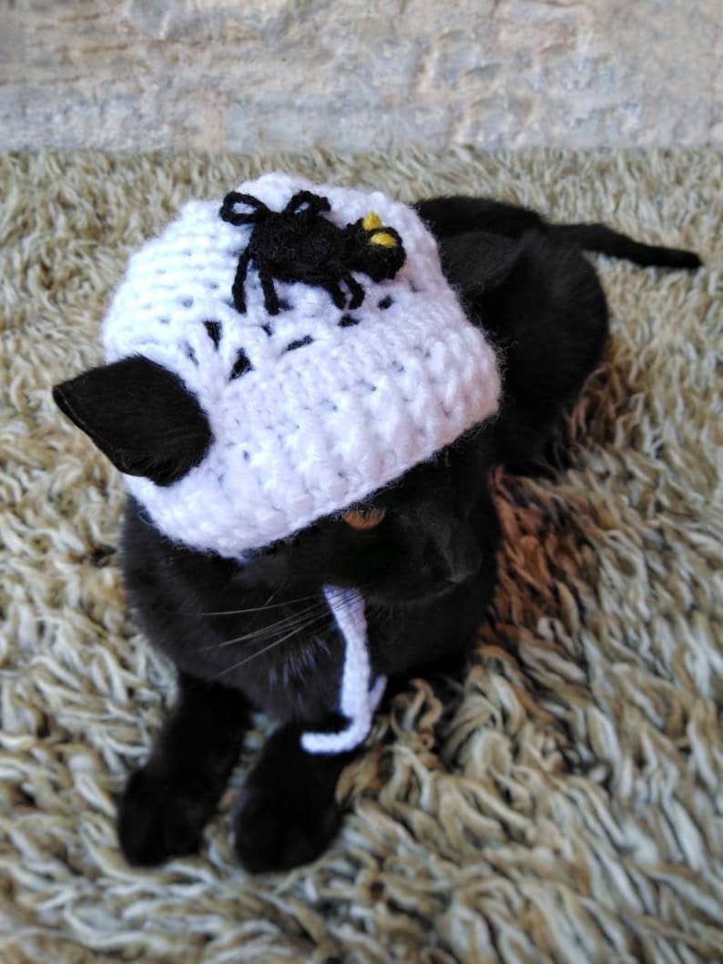 Gift for Cat Lover Spider hat for kitten Spider Hat for Cat,Halloween pet costume Cat Accessories