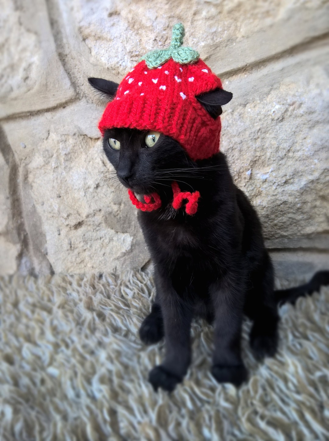 Knitted Strawberry Cat Hat: Pet Costume - Etsy