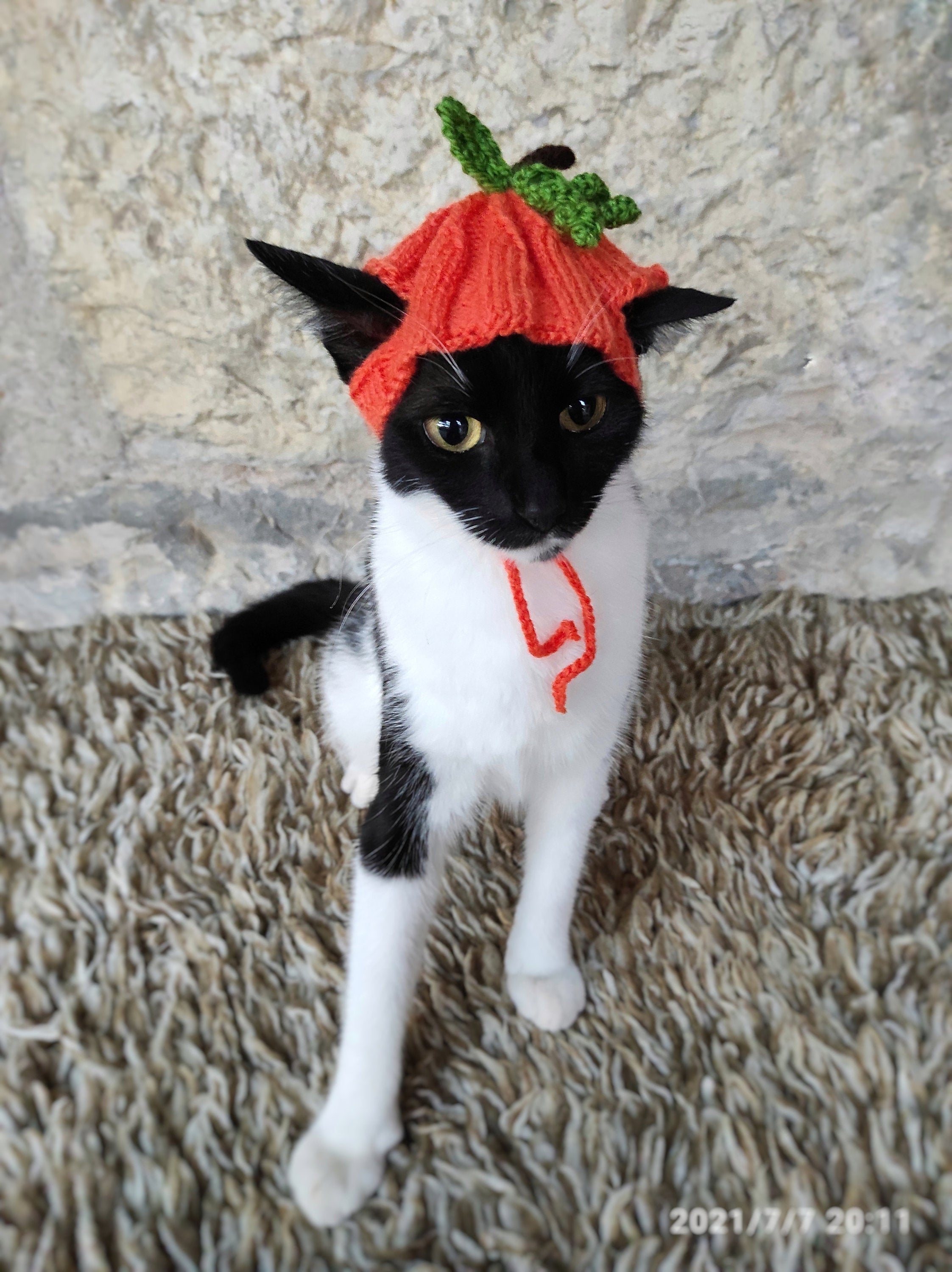 Pumpkin cat hat cat costumes hats for cats cat clothing cat accessories pet supplies pet accessories pet clothings