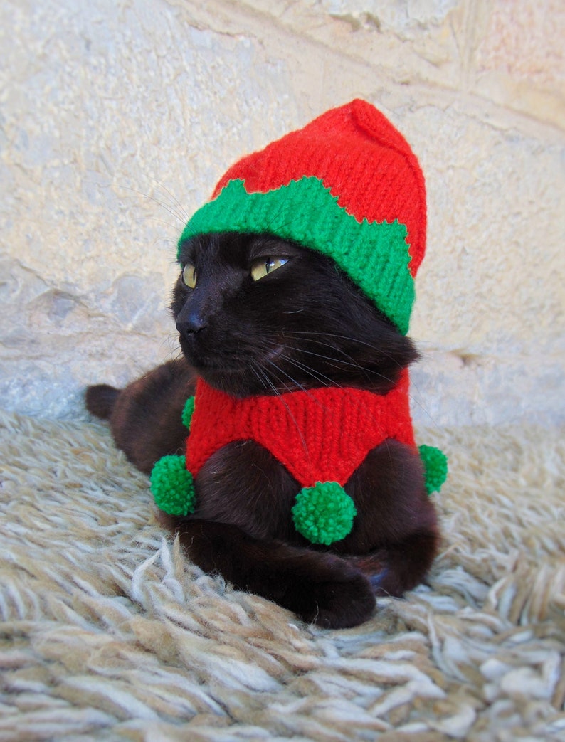 Elf Pet Costume, Christmas Costume for Cat, Elf Hat for Cats, Kitten Accessories, Kitty Outfit, Knitted Christmas Elf Pet Costume image 1