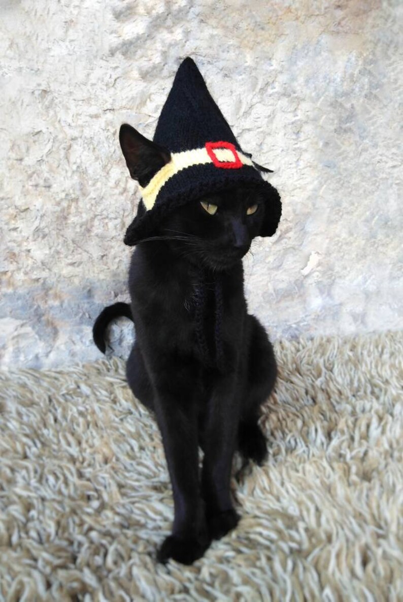 hexenhut fur katze haustierkostum katzen halloween kostum etsy