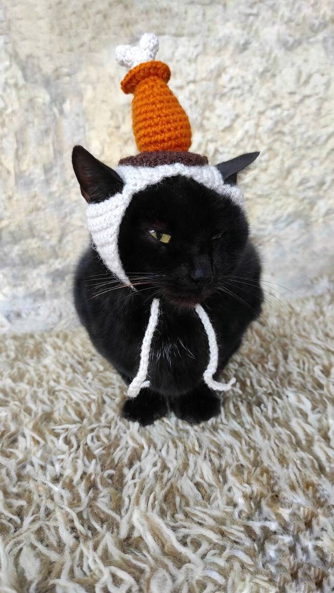 Chicken Drumstick Hat Pet Costume Drumstick Hat for Cat Etsy