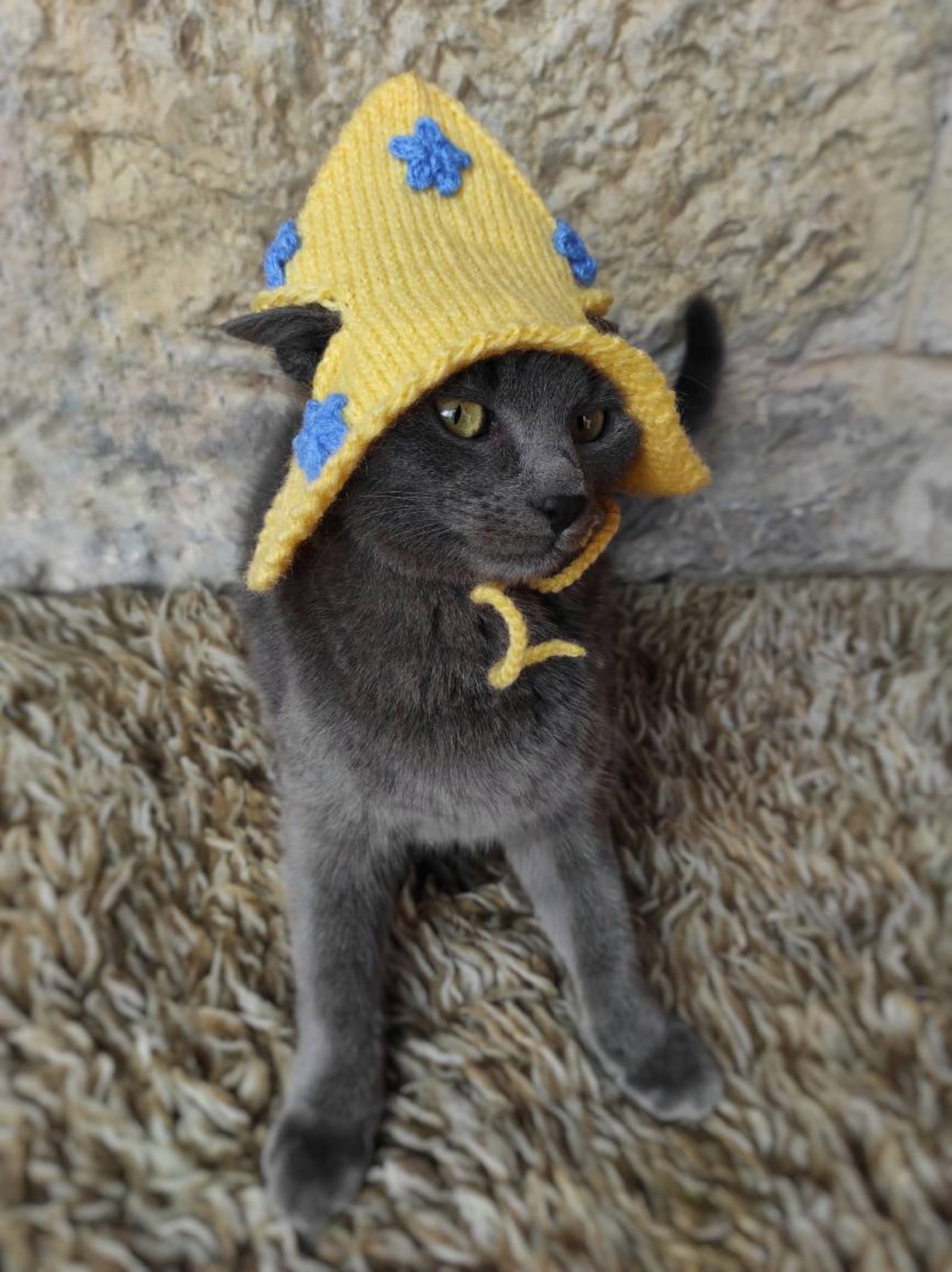 Wizard Cat Hat Wizard Hat for Cat Wizard Hat for Cats Etsy