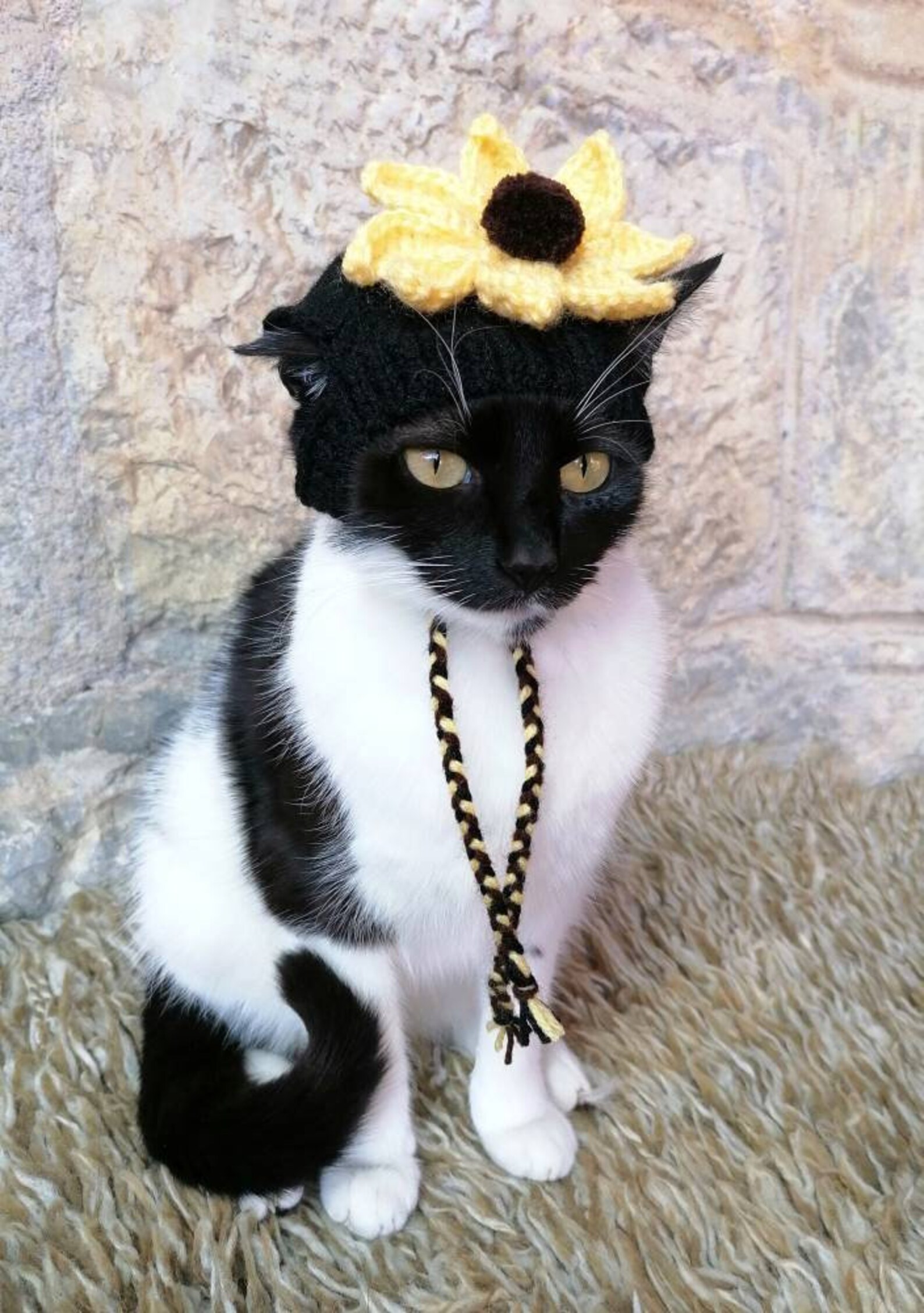 Sunflower Hat for Cat Knitted Sunflower Pet Costume Cat Etsy