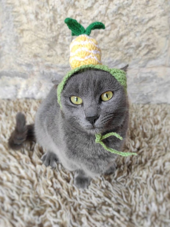 Cat pineapple cheap costume