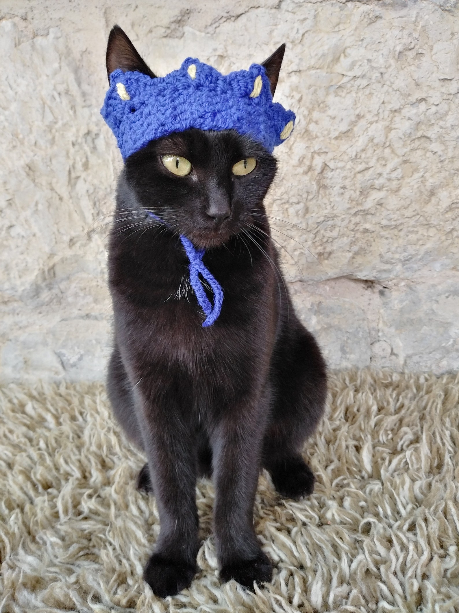 Cat Crown Tiara for Cat Princess King Queen Crown for Etsy