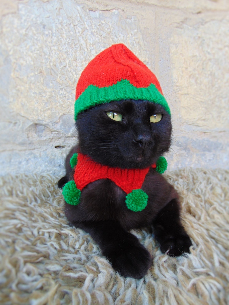 Elf Pet Costume, Christmas Costume for Cat, Elf Hat for Cats, Kitten Accessories, Kitty Outfit, Knitted Christmas Elf Pet Costume image 2