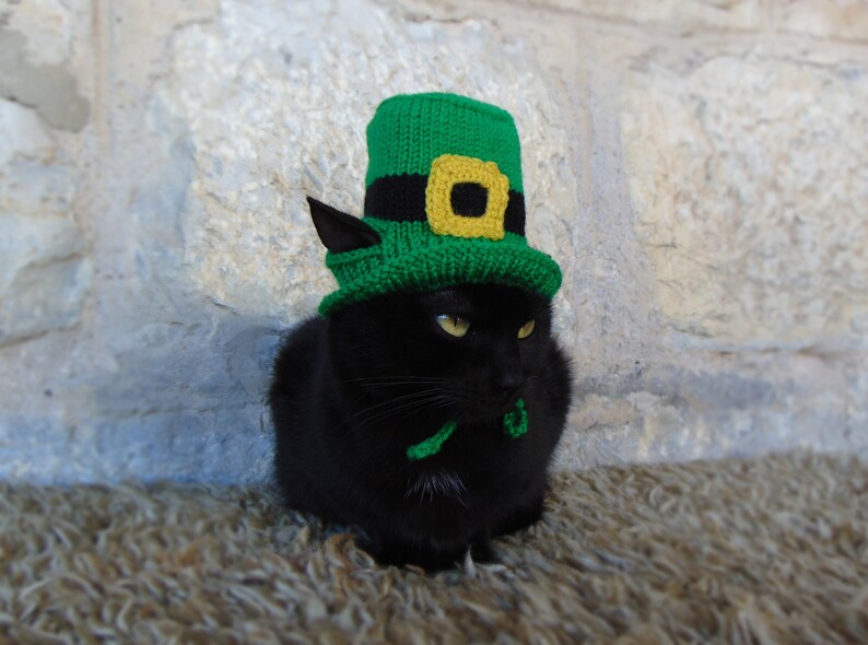 St. Patricks Day Hut für Katze, Kobold Haustier Kostüm, St. Patricks Day Zylinder für Kitty, Irischer Kätzchen Hut, Grüner Zylinder für Katzen Bild 3