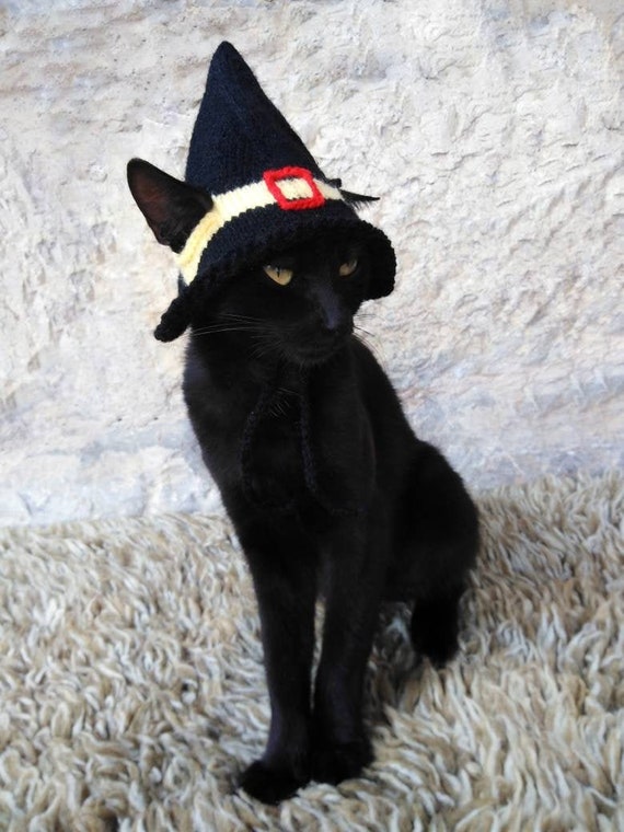 Vestito store da gatto