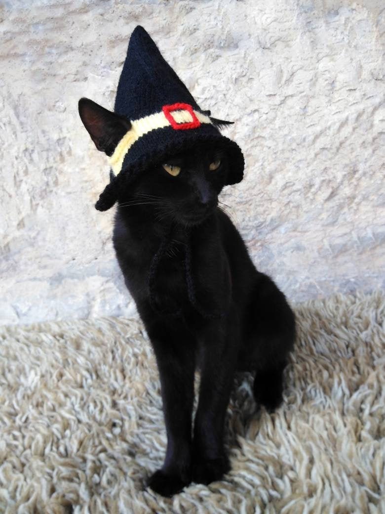 Pet Costume Cat Halloween Costume Pet 