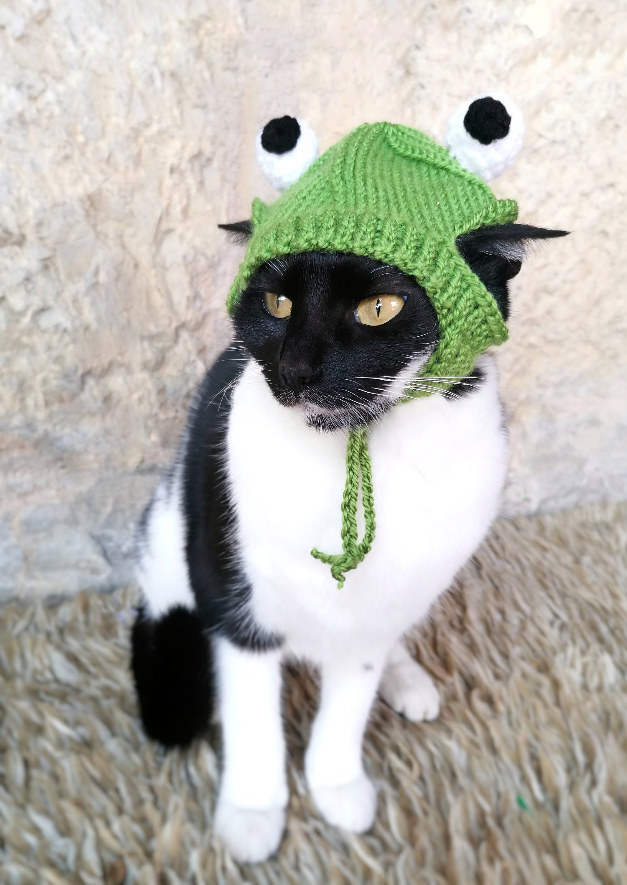 Cat Costume Hat Cute Frog Knitting Wool Cat Hat Pet Costume Hat for Holiday  