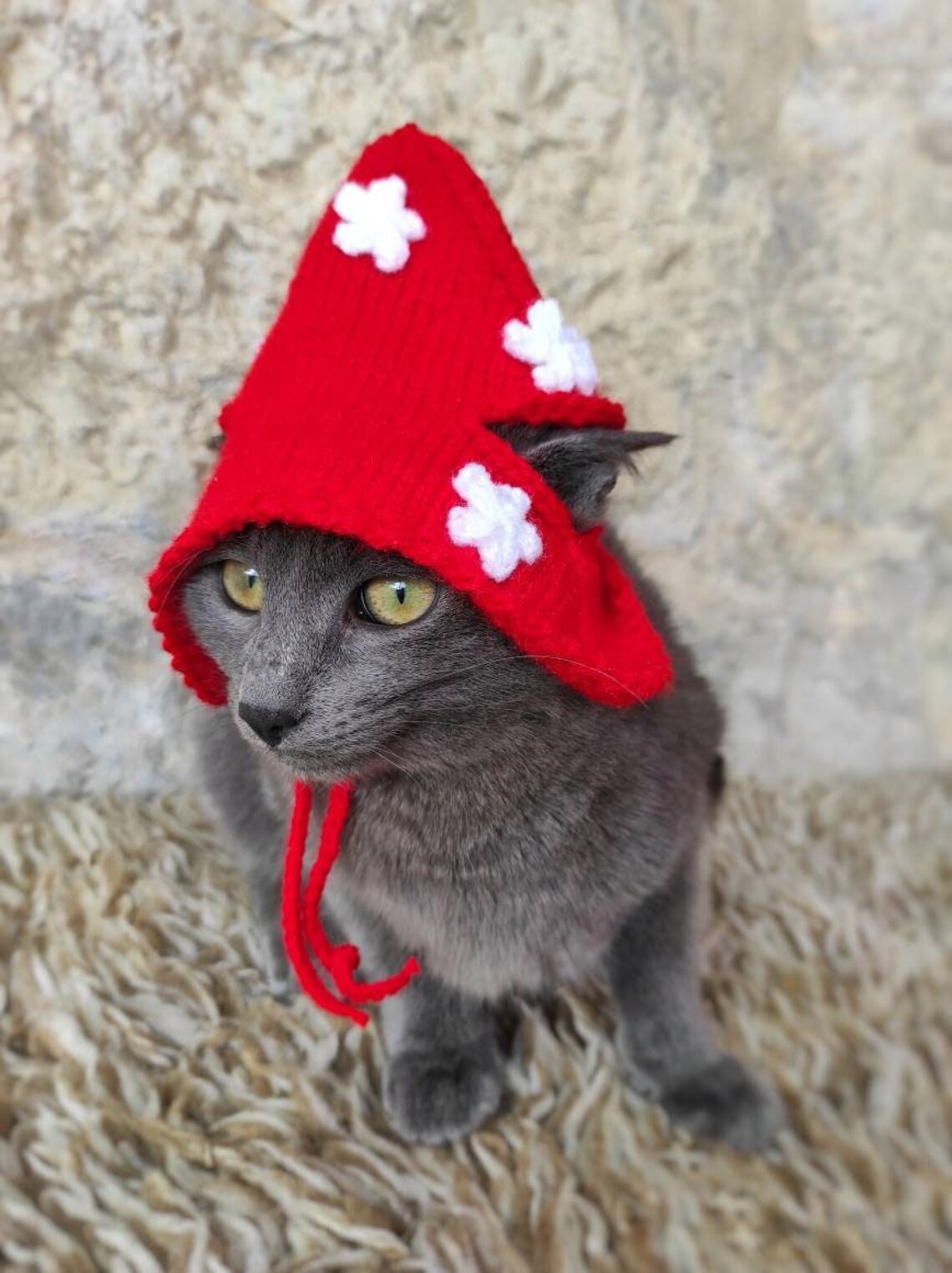 Wizard Cat Hat Wizard Hat for Cat Wizard Hat for Cats Etsy