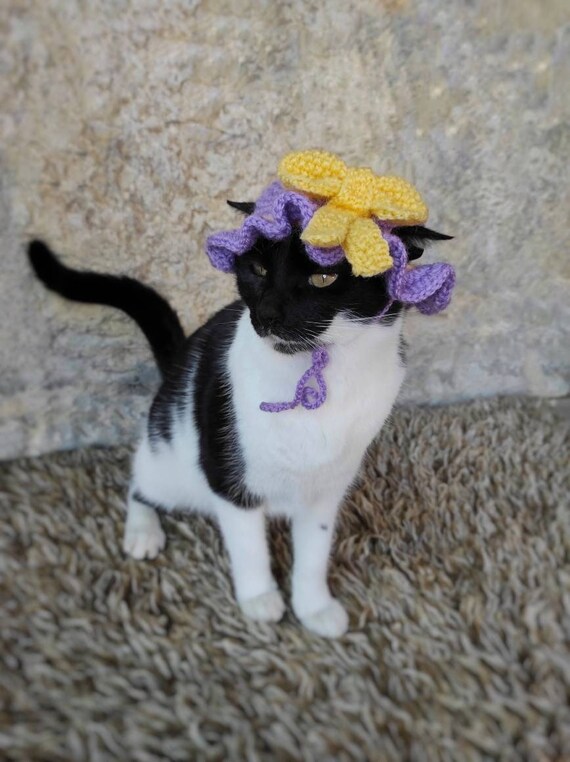 Cat Hat for Cats Costume 
