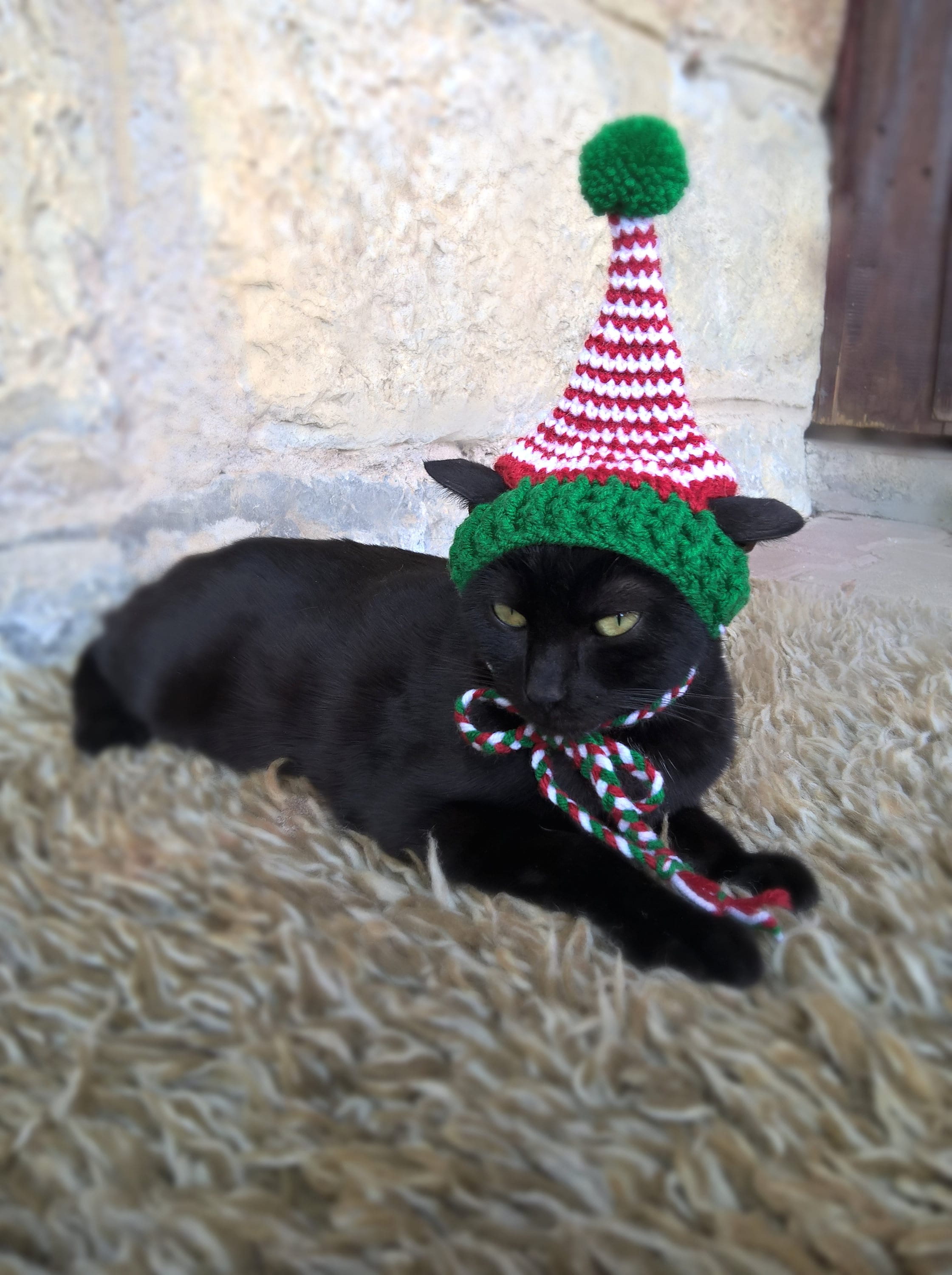 Elf Hat for Cats Cat Elf Costume Christmas Hat for Cat | Etsy