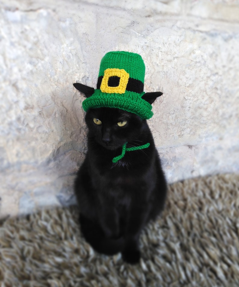 St. Patricks Day Hut für Katze, Kobold Haustier Kostüm, St. Patricks Day Zylinder für Kitty, Irischer Kätzchen Hut, Grüner Zylinder für Katzen Bild 5