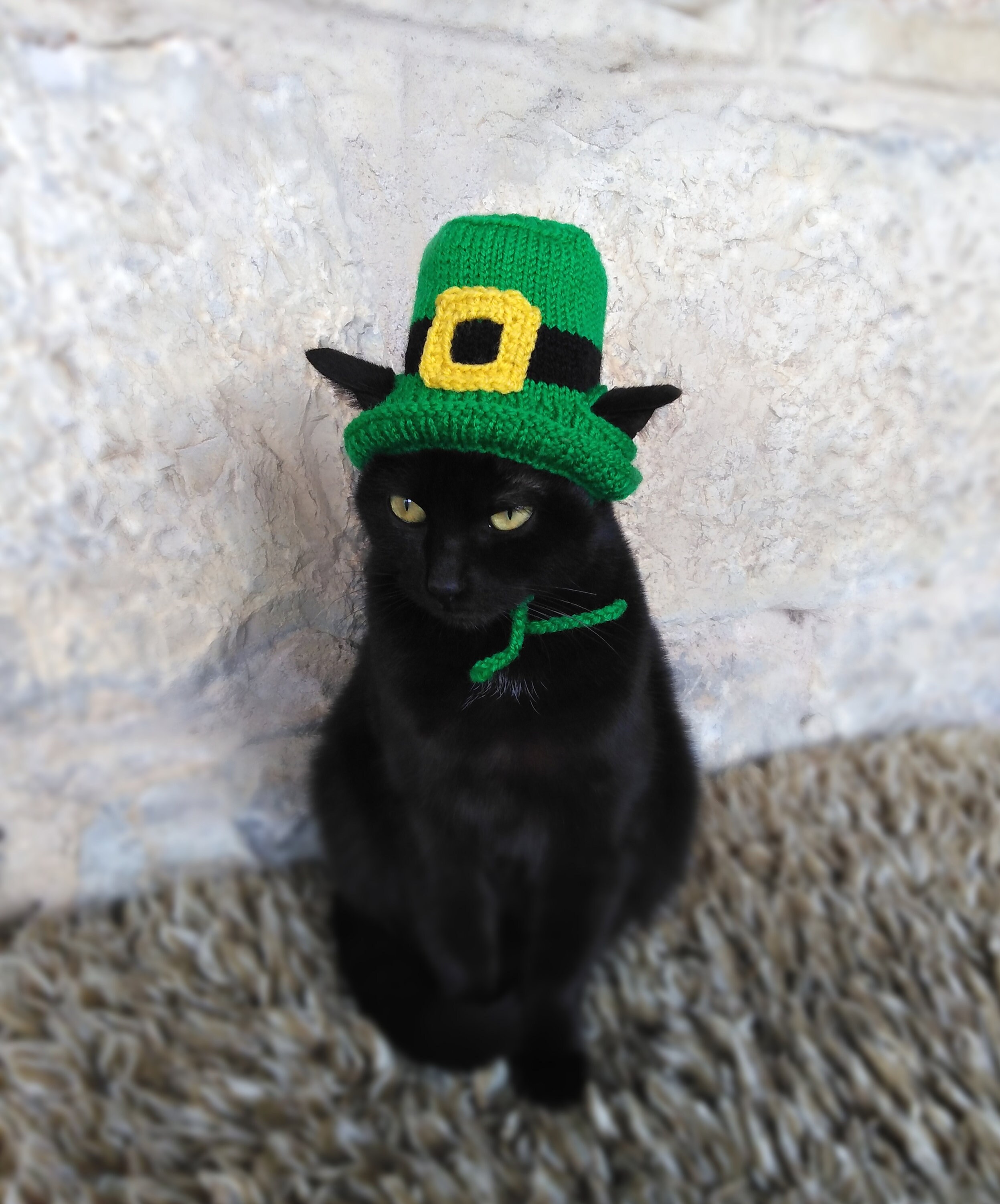 Day Hat for Cat Leprechaun Pet Costume 