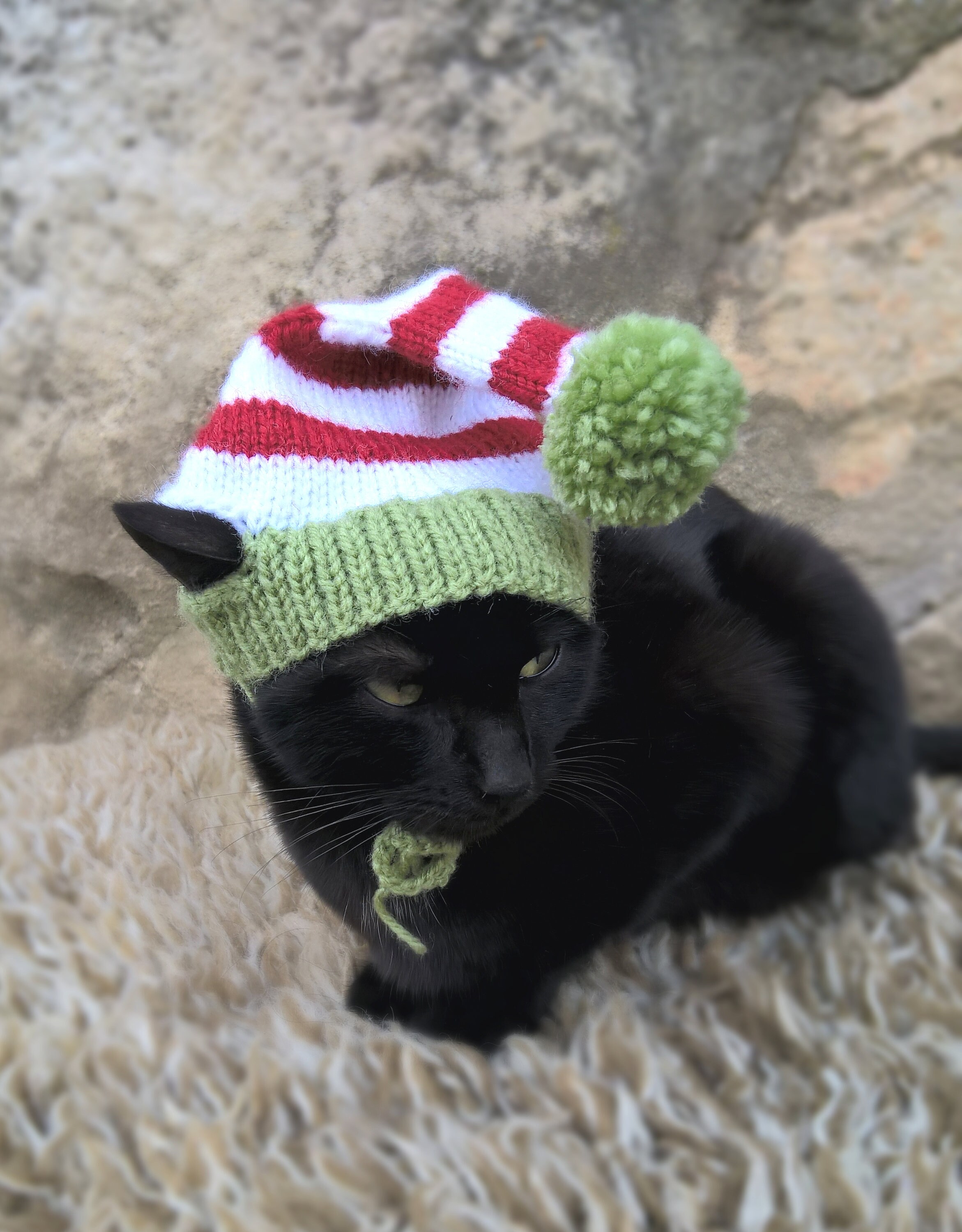 Elf Hat for Cats Christmas Pet Costume Gift for Cat Lovers - Etsy