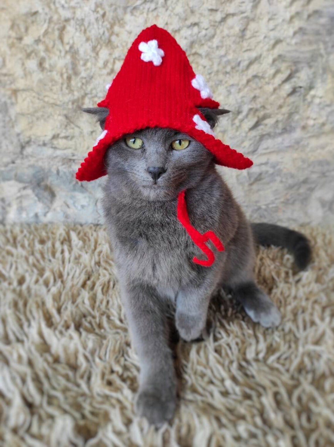 Wizard Cat Hat Wizard Hat for Cat Wizard Hat for Cats Etsy