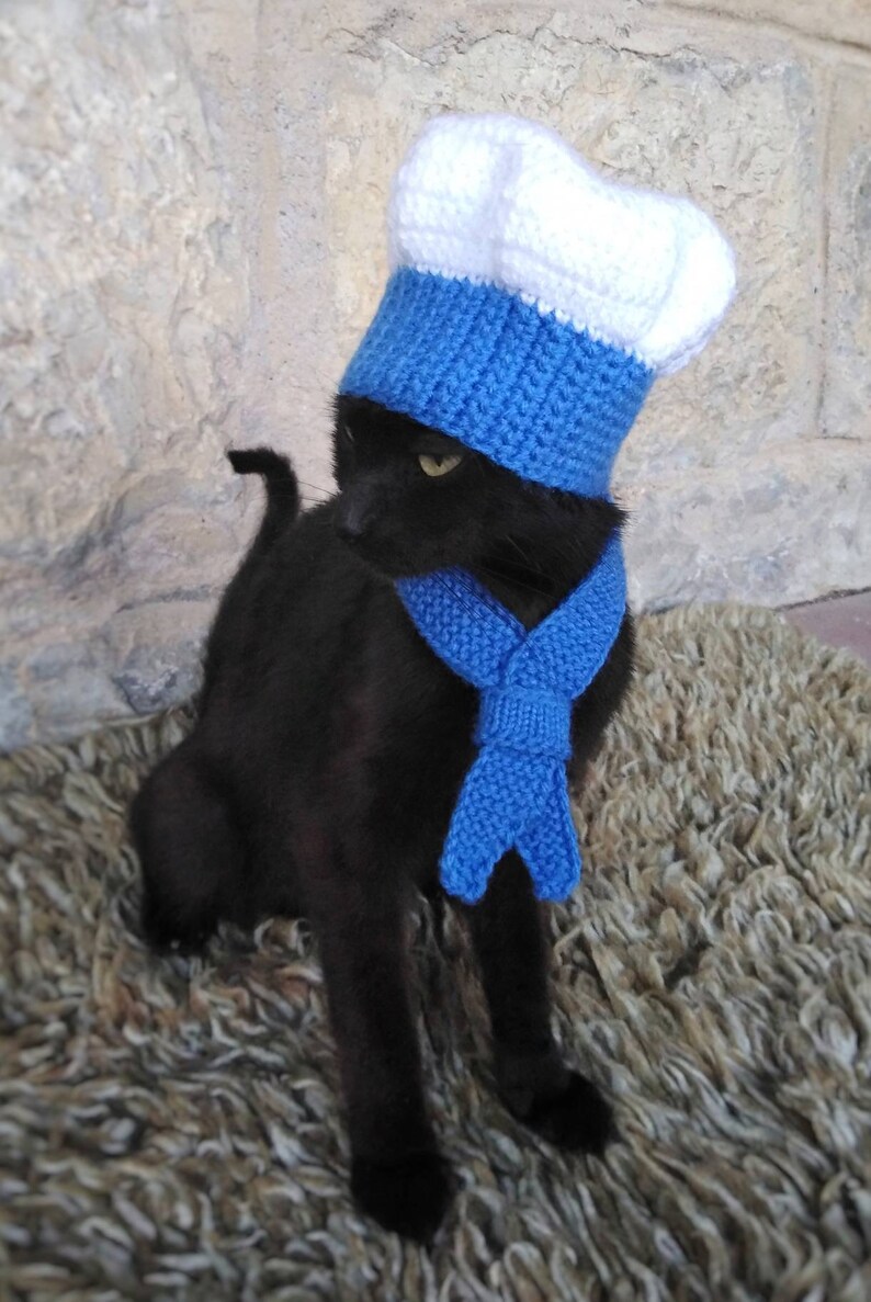 Chef Cat Costume Hat and Red Scarf Chef Pet Halloween Etsy
