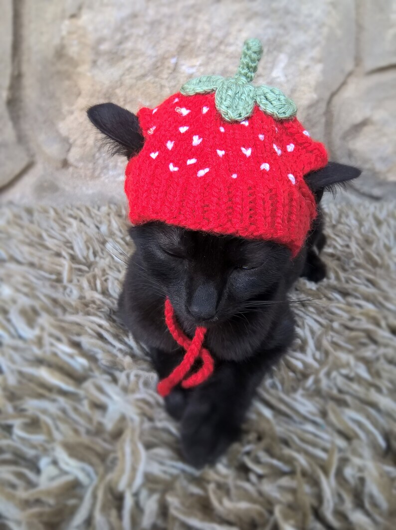 Strawberry Hat for Cat Pet Costume Pet Accessories Etsy