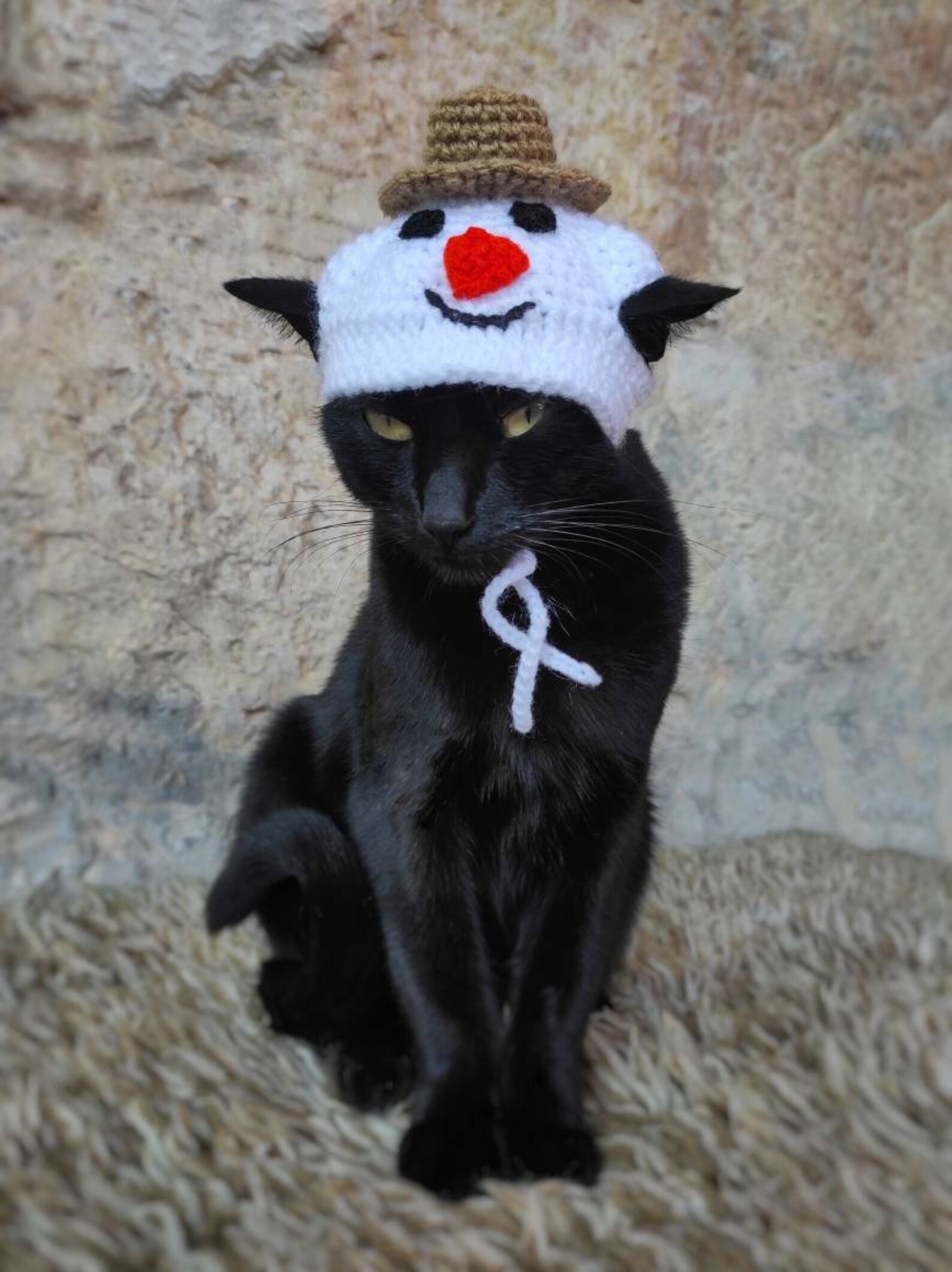 Snowman Cat Costume Snowman Hat for Cat Pet Costume Crochet | Etsy UK