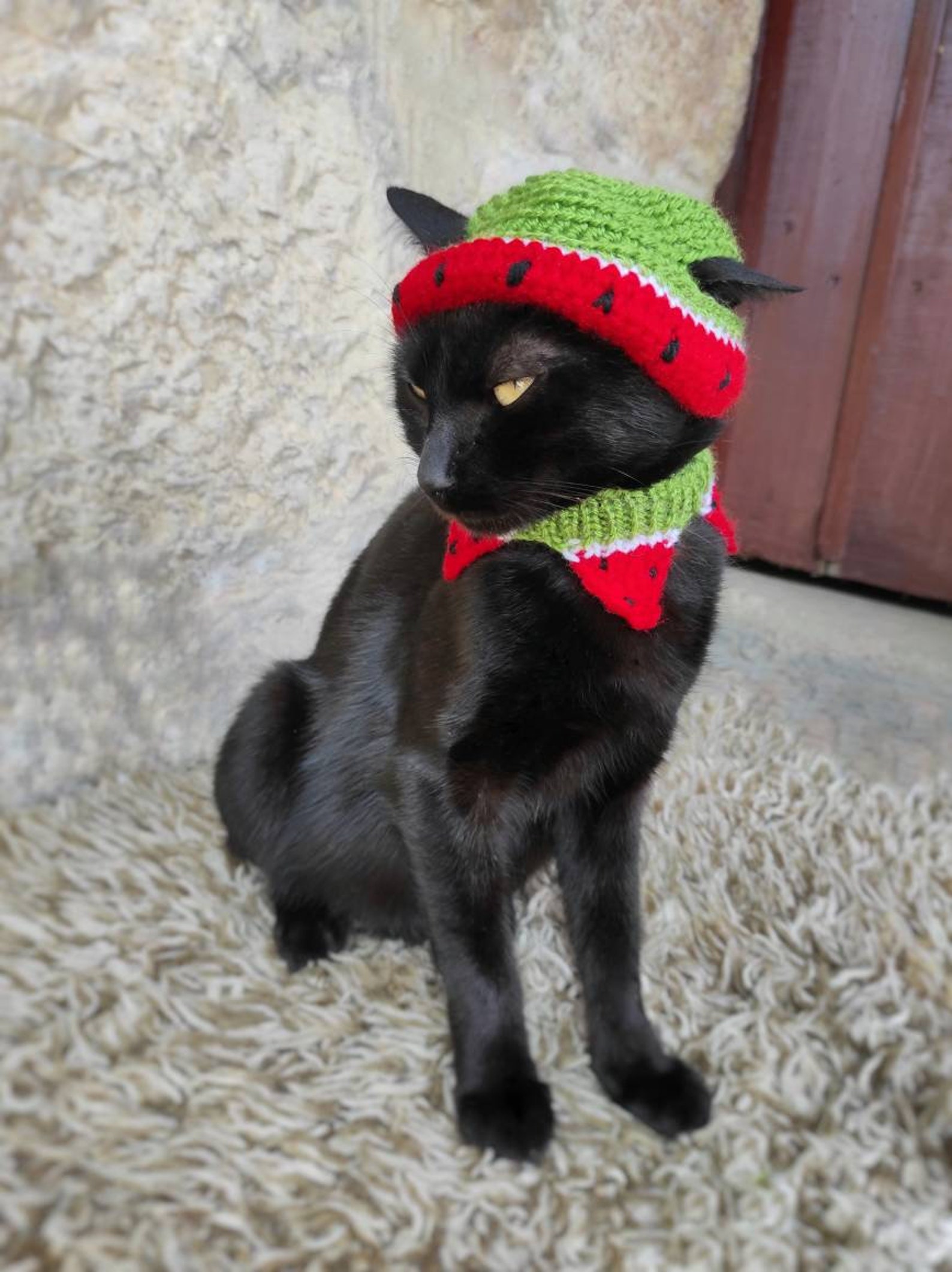 Watermelon Cat Hat Watermelon Hat for CatHat for Cats Etsy 日本