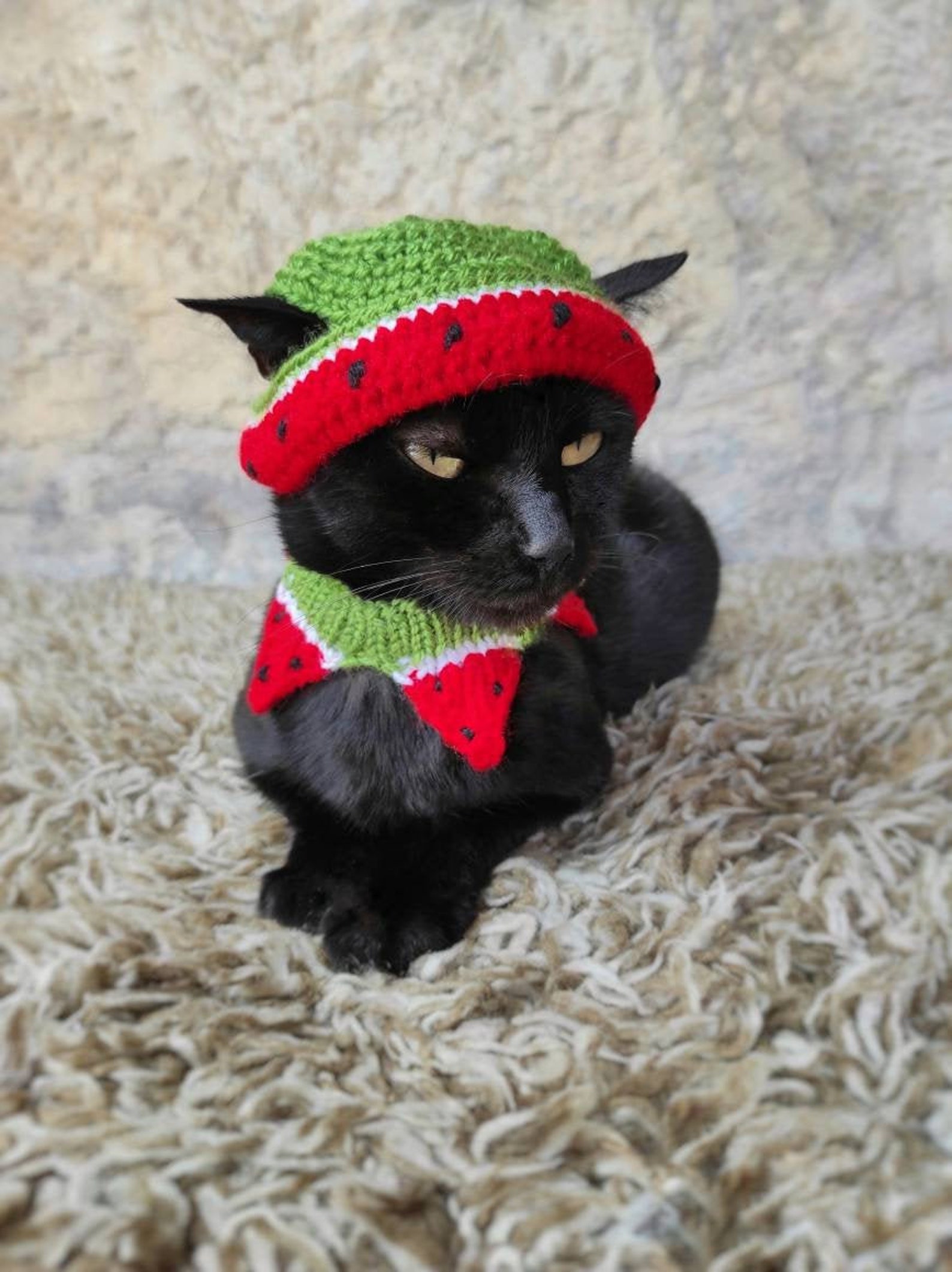 Watermelon Cat Hat Watermelon Hat for Cathat for Cats Etsy
