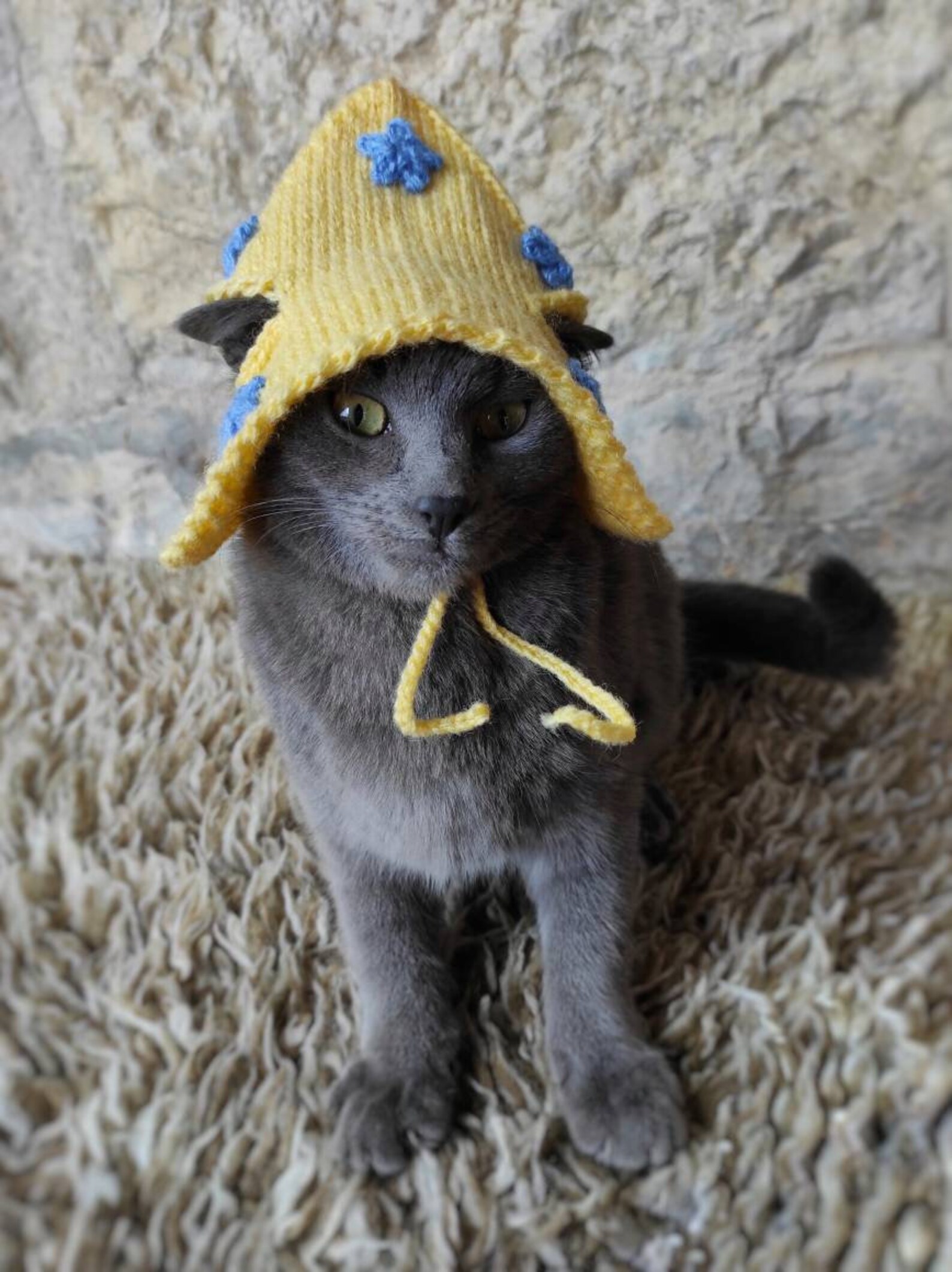 Wizard Cat Hat Wizard Hat for Cat Wizard Hat for Cats Etsy