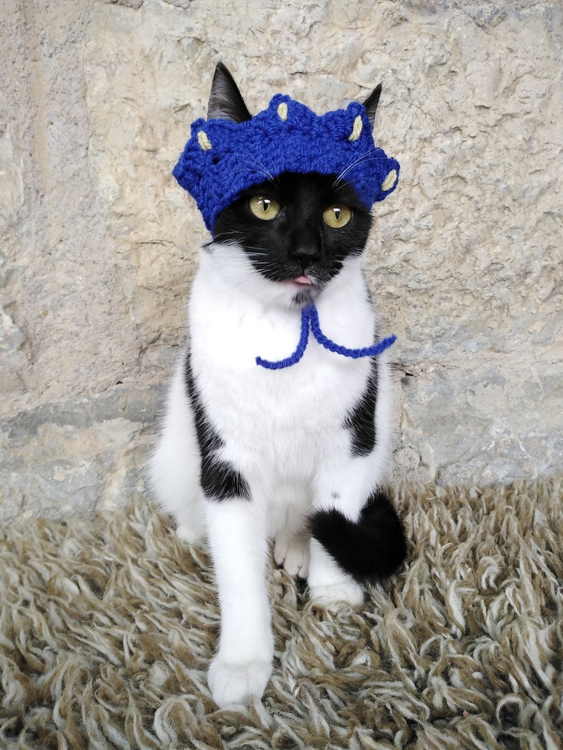 Cat Crown Tiara for Cat Princess King Queen Crown for Etsy