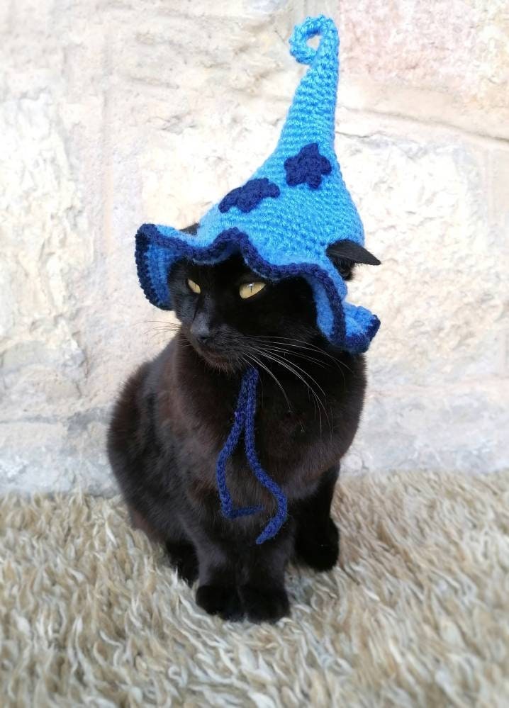 Witch Hat for Cat Blue Pet Costume Cat Halloween Costume - Etsy Canada