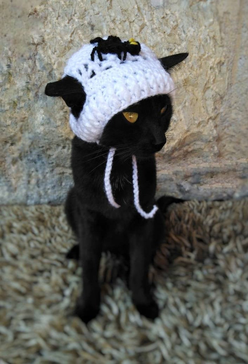 Gift for Cat Lover Spider hat for kitten Spider Hat for Cat,Halloween pet costume Cat Accessories