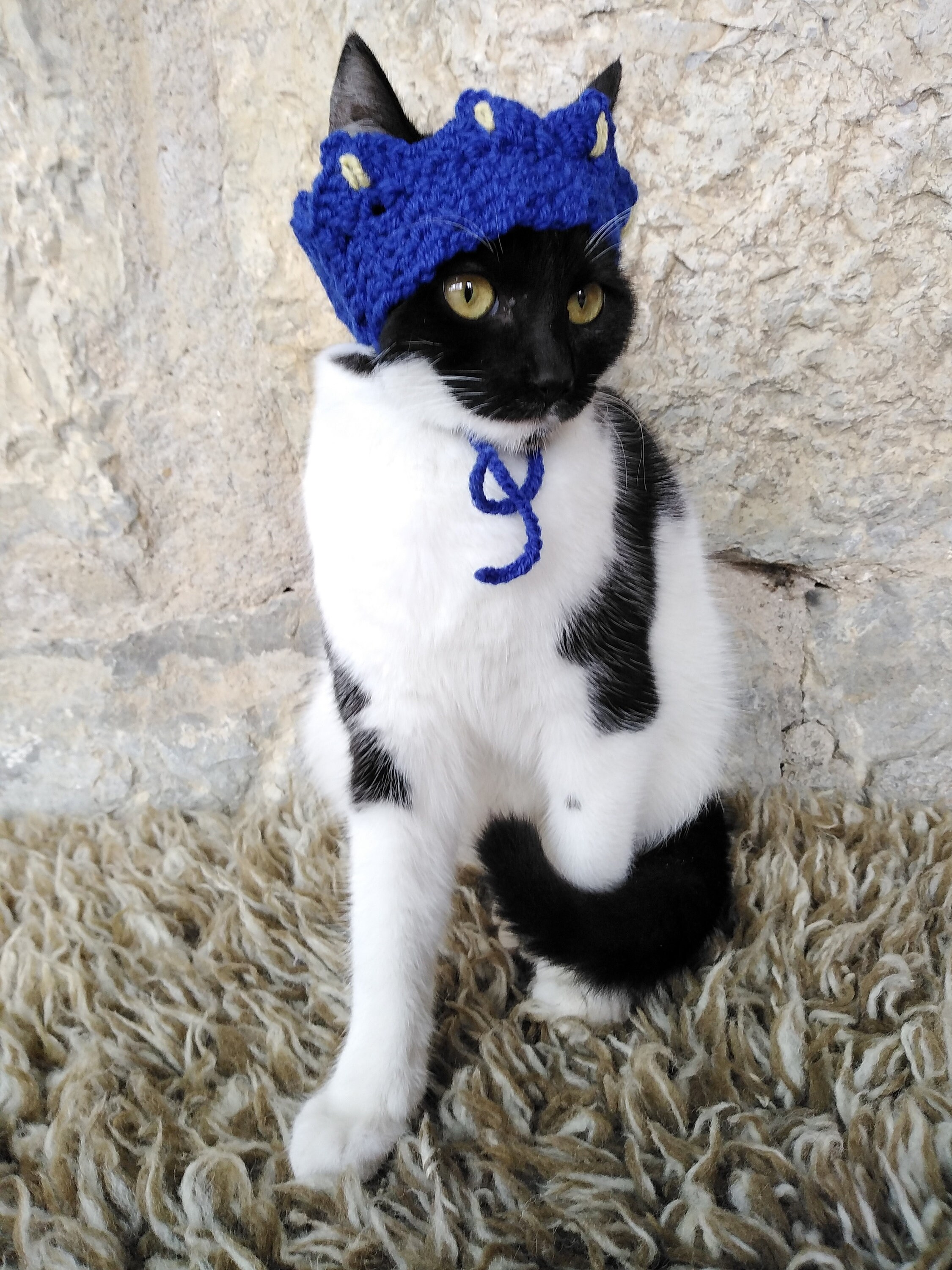 Cat Crown Tiara for Cat Princess King Queen Crown for Etsy