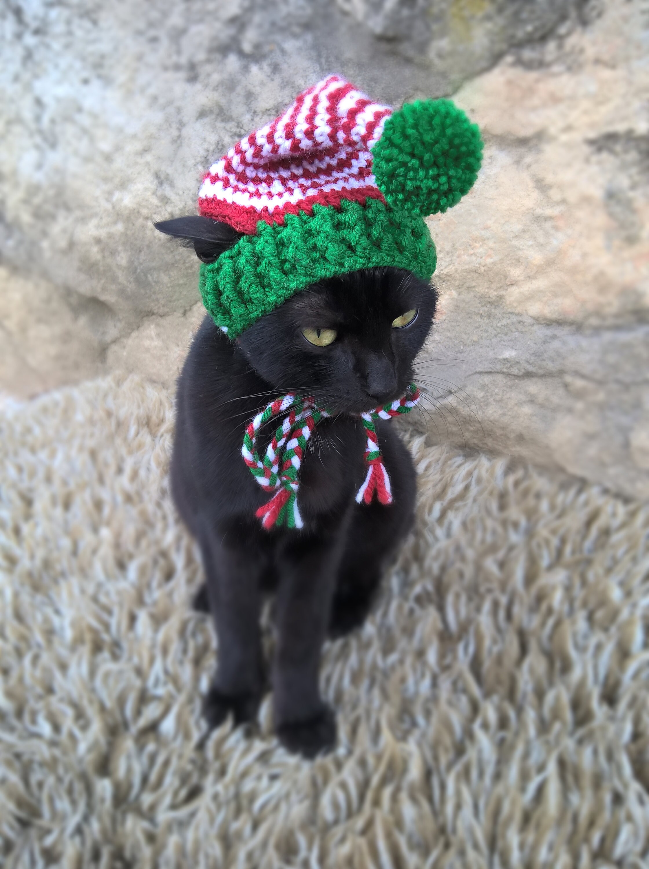 Elf Hat for Cats Cat Elf Costume Christmas Hat for Cat | Etsy