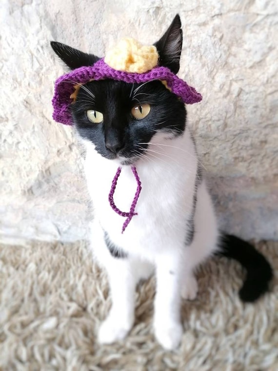 Chapeau Dete Pour Chat Costume Pour Chats Chapeaux Pour Etsy France