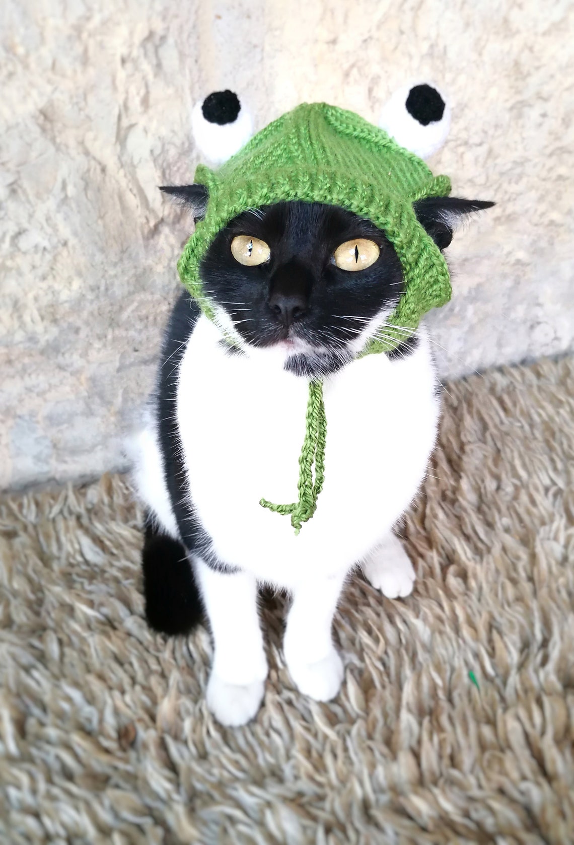 Frog Hat for Cat Frog Pet Costume Cat Accessories Kitten Etsy